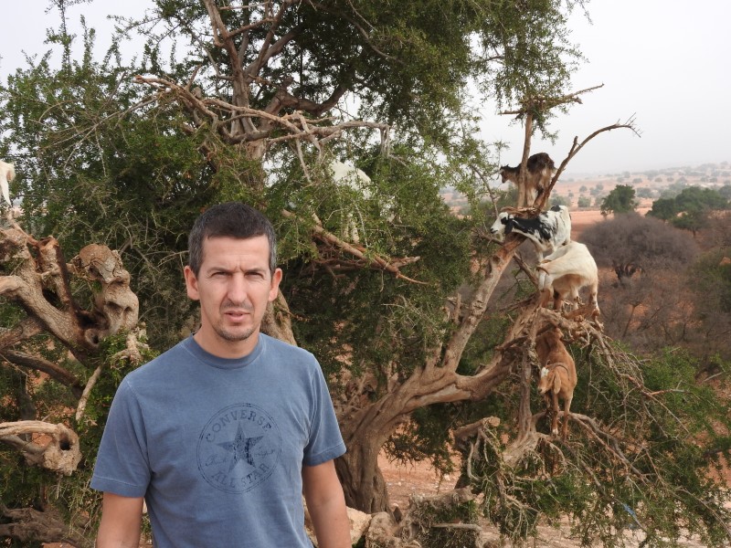 47 Piante di Argania Spinosa